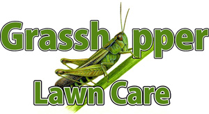 Grasshopper Lawn Care Services, LLC, Lawn Care, Landscaping and Lawn Mowing